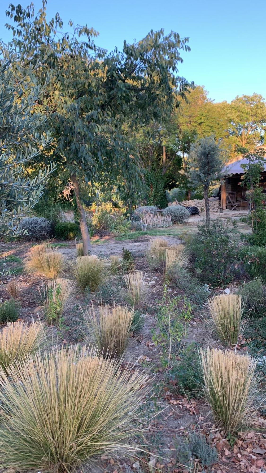 גורדס Le Mas Du Lavoir מראה חיצוני תמונה